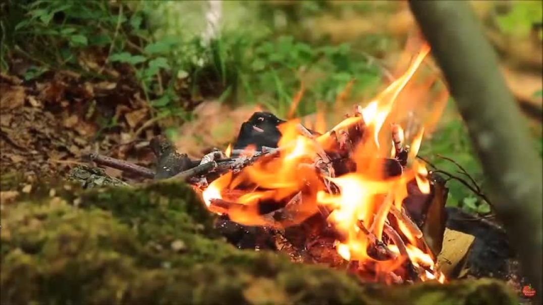 Cooking Chicken On A Rope Outdoors Over A Camp Fire - Survival Skills